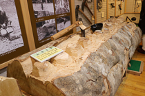 木地師文化に関わる豊富な展示物が並んでいます