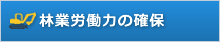 林業労働力の確保