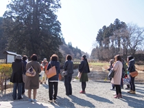 杉沢の大杉見学