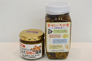 きのこPR7