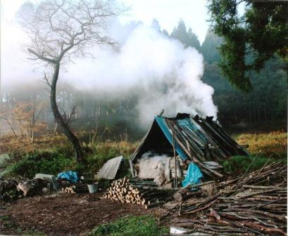 炭焼き小屋の朝