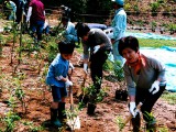 孫の記念樹に