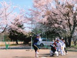 今年は優勝