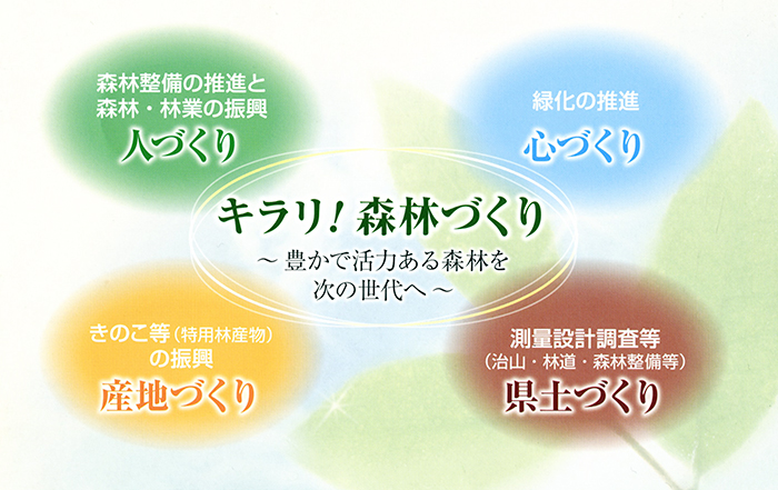 きらり！森林づくり。豊かで活力ある森林を次の世代へ