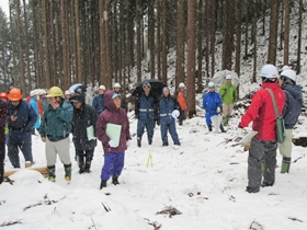 現地研修の様子