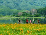 初夏の水辺