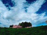 雨上がりの空