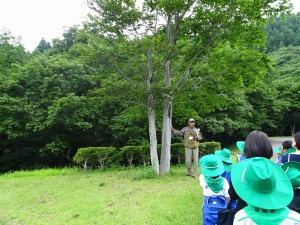 自然観察をしている様子