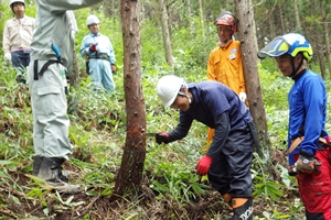 枝打ち、伐木作業の体験