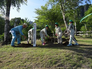 記念植樹（イロハモミジ）