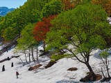 雪解けのころ