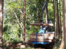 フォワーダの操作実習