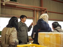 割り箸工場見学の様子