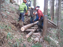 丸太組工の施工状況