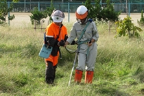 作業実習の様子