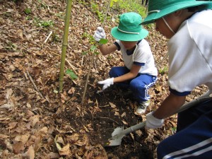 植樹活動②