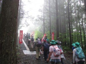 霧立ちこめる森林を抜けて