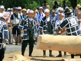 諏訪神社の御柱