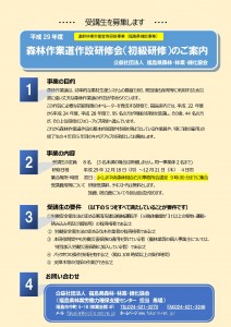 案内チラシ(PDF/382KB)
