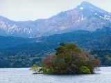 桜島の新緑