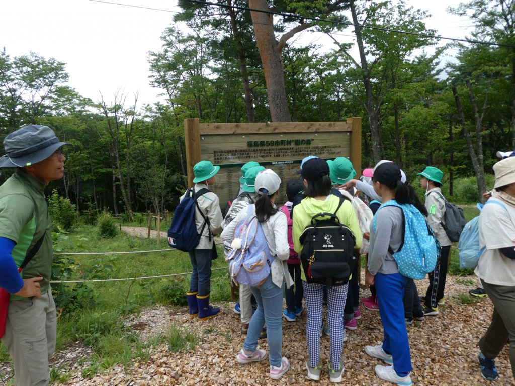 「樹の森」「花の森」