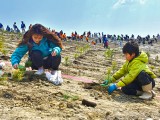 親子で植樹