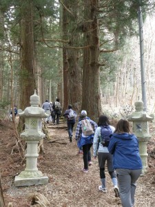 安倍文珠菩薩堂参道の杉並木