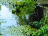 水車のある風景