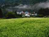 初秋の山村