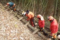 丸太組工の作設実習