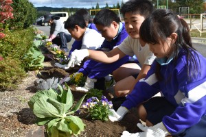 学校緑化活動