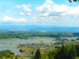 山頂からの眺め