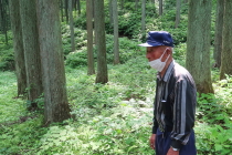 水野林業を創業された水野廣富さん、80歳で現役の林業マンです