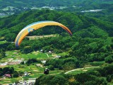 新緑の空に舞うパラグライダー