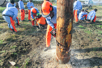 屋外での作業実習