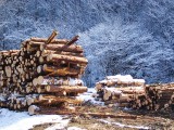 雪化粧の中に