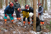 林業現場での実地研修