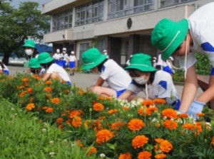 花壇の世話（知事賞受賞川南小）