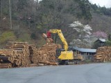 林業で働く技術者