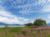 晩夏の桧原湖畔