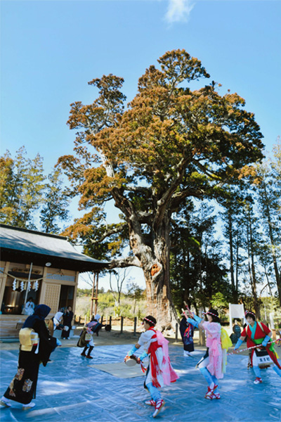 41-入選「復活の宝財踊り」双葉町-前田稲荷神社（前田の大スギ）／西山-栄（いわき市）