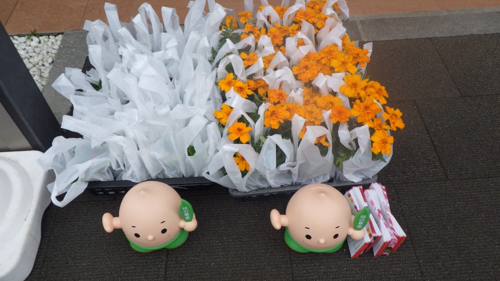 配布物(花苗、花の種)