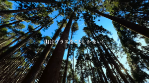 YouTube【いわき市森林組合】