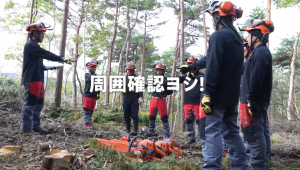 YouTube【株式会社桜林業】