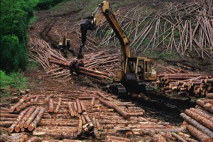 最優秀賞_「未来の宝物」_広野資郎_南会津町
